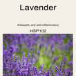 02HSP102 LAVENDER [ Herb Soil Paint ] Non-Toxic Eco-Friendly Organic Paint