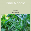 03HSP204 PINE NEEDLE [ Herb Soil Paint ] Non-Toxic Eco-Friendly Organic Paint