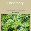 04HSP201 ROSEMARY [ Herb Soil Paint ] Non-Toxic Eco-Friendly Organic Paint