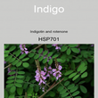 05HSP701 INDIGO PLANT [ Herb Soil Paint ] Non-Toxic Eco-Friendly Organic Paint