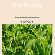 06HSP301 HOUTTUYNIA [ Herb Soil Paint ] Non-Toxic Eco-Friendly Organic Paint
