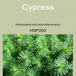 08HSP205 CYPRESS [ Herb Soil Paint ] Non-Toxic Eco-Friendly Organic Paint