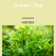 09HSP203 GREEN TEA [ Herb Soil Paint ] Non-Toxic Eco-Friendly Organic Paint